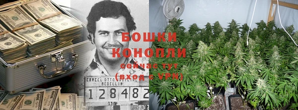 PSILOCYBIN Белоозёрский