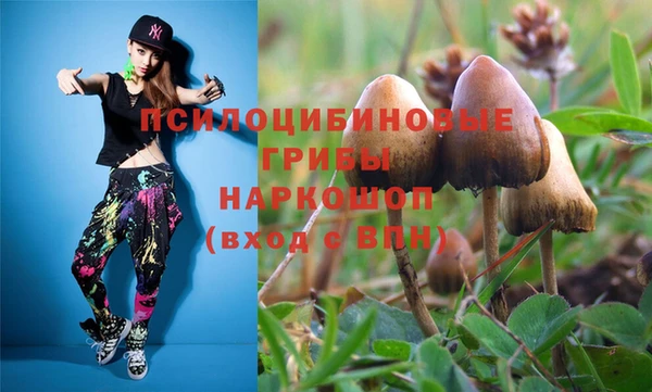 прущая мука Белокуриха