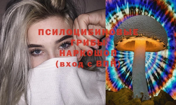 MDMA Беломорск