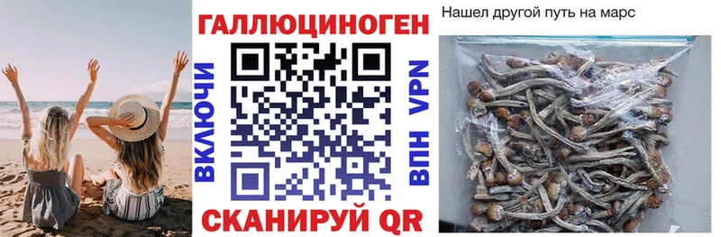 даркнет сайт  Волжск  Галлюциногенные грибы MAGIC MUSHROOMS 